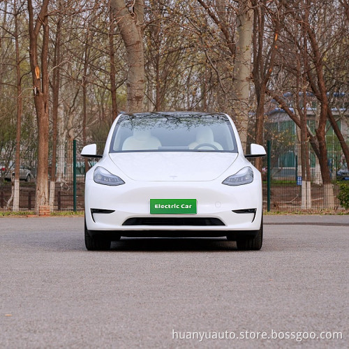 Pure electric SUV tesla model y